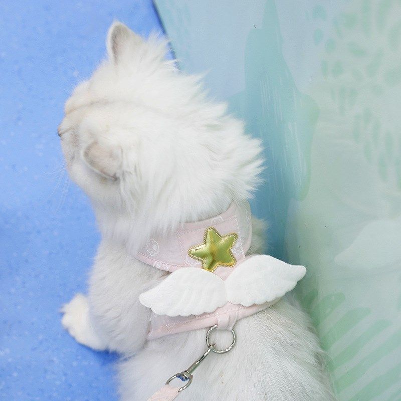 天使翅膀猫咪牵引绳背心式牵引带狗狗幼猫外出牵引防挣脱宠物用品,宠物/宠物食品及用品,猫牵引绳,淘宝优惠券,粉丝福利购,淘宝优惠卷