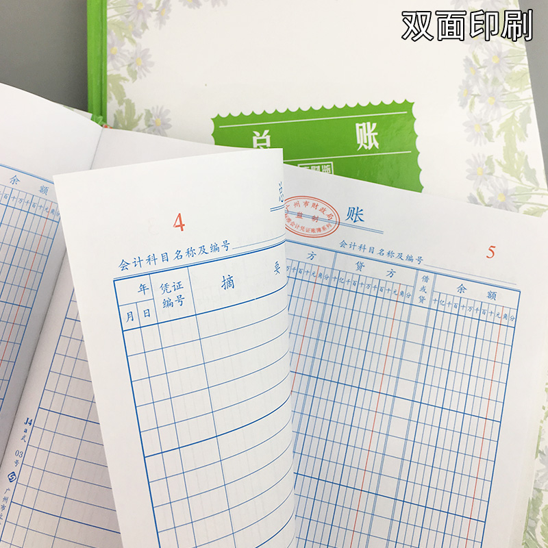 总账记帐总分类账帐本现金流水进出收支企业账册财务会计明细帐本
