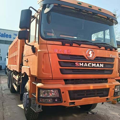 德龙F3000自卸车出口后八轮渣土运输车336马力矿用工程货车