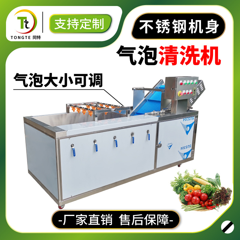 厂家直销全不锈钢蔬菜清洗机 气泡清洗机 净菜加工果蔬臭氧洗菜机