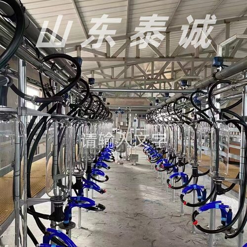奶羊挤奶厅鱼骨式奶山羊挤奶台挤奶设备（本店铺产品需详询后下单