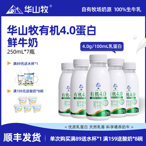 华山牧鲜牛奶有机4.0g蛋白低温奶