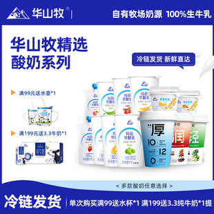 华山牧酸奶低温奶风味发酵奶真实谷粒果肉奶皮子风味饮品【综】