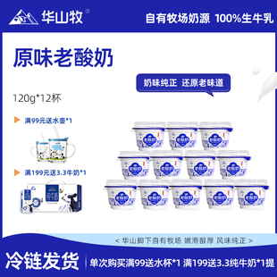华山牧新品原味老酸奶120g*12碗酸奶碗古法制作低温酸奶