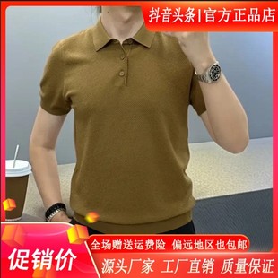 上衣t恤轻奢修身 菠D萝纹POLO衫 半袖 针织衫 25夏季 轩达轻奢男装 新品