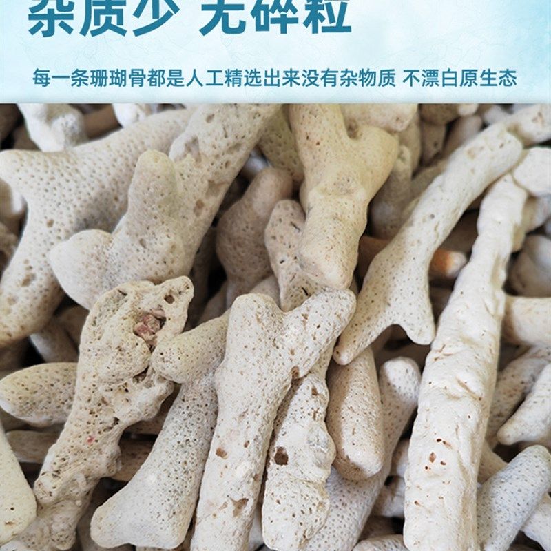 优选大珊瑚骨滤材优质天然珊瑚石鱼缸过滤材料水族箱底砂净水造景,宠物/宠物食品及用品,过滤材料,淘宝优惠券,粉丝福利购,淘宝优惠卷