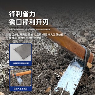 锰钢农用锄头多功能除草家用种菜挖地刨老式轨道钢镢头挖冬笋专用