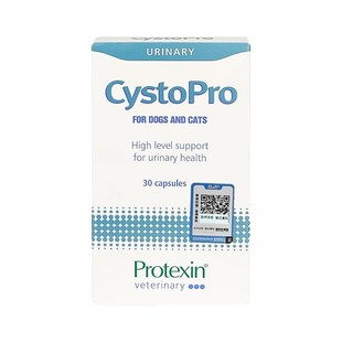 英国沙斯多保犬猫狗泌尿痛利尿通结石尿频血感染膀胱修复沙司多保