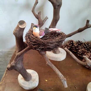 干树枝装饰天然树干枯木造景树杈支架展示架文玩挂架子造型放