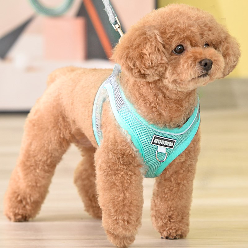 狗狗牵引绳背心式中小型犬遛狗绳幼犬胸背带泰迪比熊贵宾小狗链子