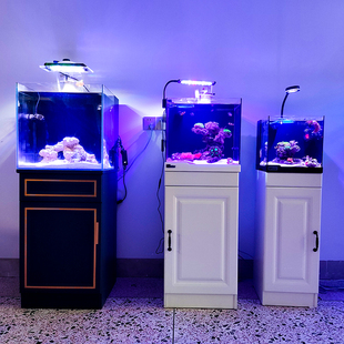 海水鱼缸 背滤低柜全套 小型海水缸珊瑚缸套装 水族箱新手缸侧滤