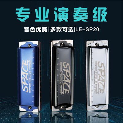 飞繁夹片十孔布鲁斯口琴LE-SP20蓝调口琴初学者入门推荐