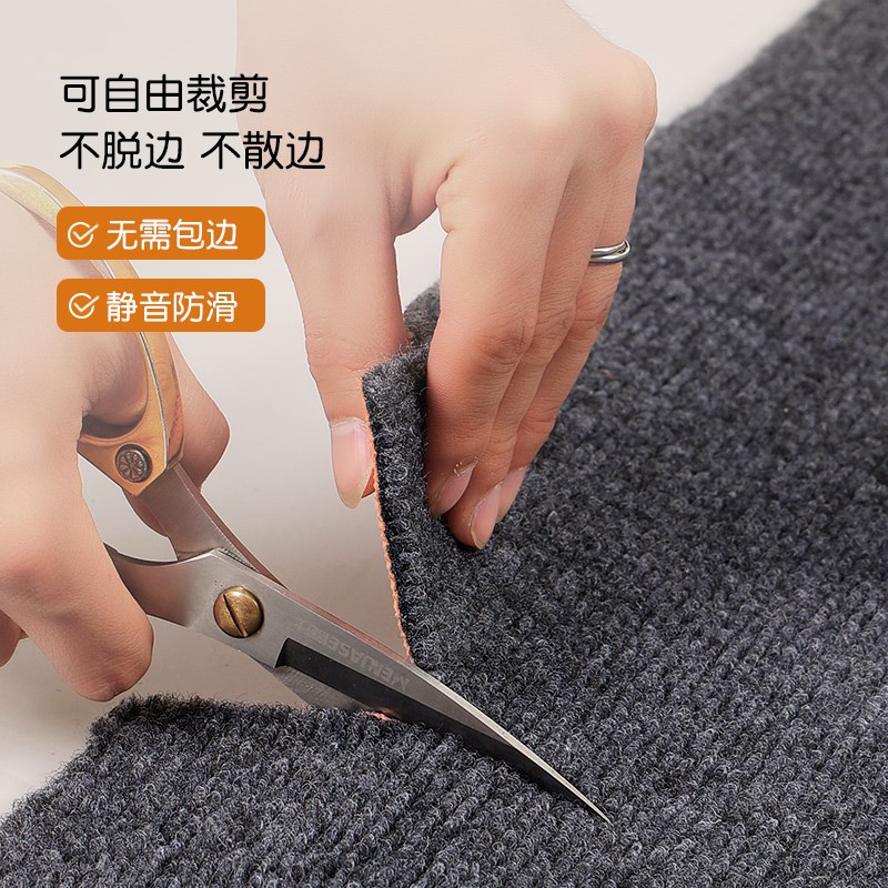 2024新款地垫入户门家用门垫玄关脚垫门外大门口进门耐脏免洗地毯