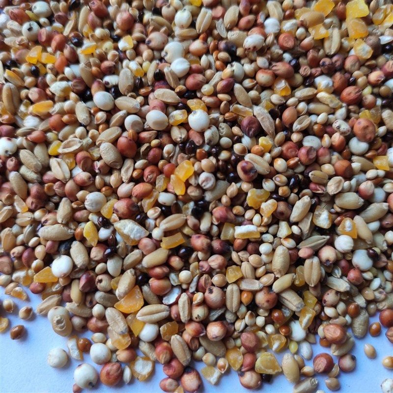 斑鸠粮竹鸡粮山鸡粮鸡饲料斗鸡粮仓鼠粮4合1鸽粮鸟食饲料5斤包邮,宠物/宠物食品及用品,鸟食,淘宝优惠券,粉丝福利购,淘宝优惠卷