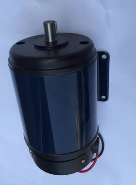 110T151A1直流电机直流永磁系列电动机375W110V直流电机图片