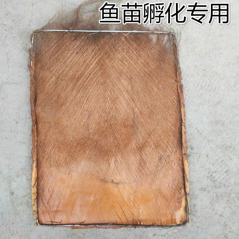 棕树皮棕衣棕毛棕榈皮棕丝棕片棕皮装饰绿萝棒棕棒鱼苗孵化茅草屋