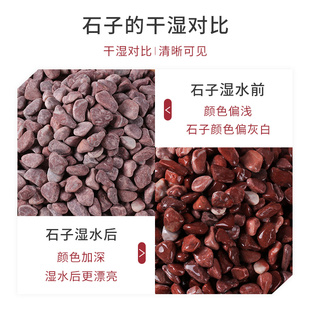 天然红色砾石胶粘石水磨石地面专用枯山水造景铺路地暖找平石头子