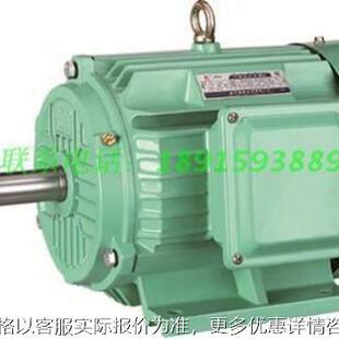 南京YE4 55W 三相异步电动机替YY2Y3厂家销 250M
