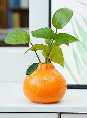 橘子花瓶陶瓷水养水培花瓶花器客厅桌面装饰品摆件电视机柜