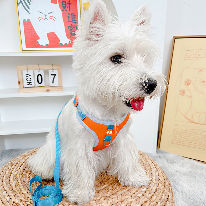 狗狗牵引绳猫咪狗绳遛猫绳背心式小狗狗牵狗绳胸背带泰迪宠物用品