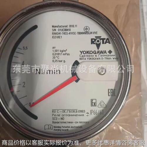 金属转子流量计RAKD41-T4SS-41VSE-T80NNN/BG/K1/NS1/IE1