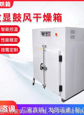 江苏供应工业大型温烤箱智能电热恒温干燥箱小型工业鼓风烘箱