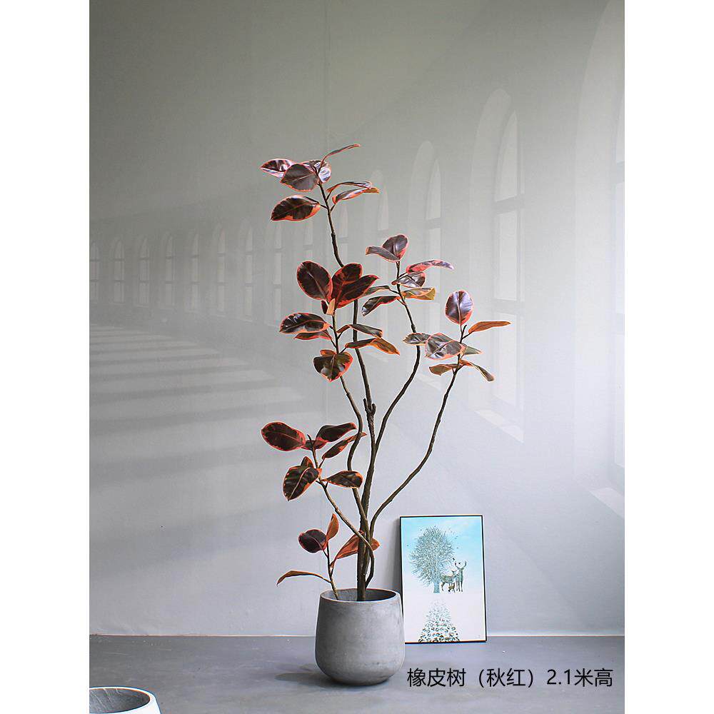 高端拟树假绿色植物橡胶模黑钻石窗LWI床和早葡餐萄酒店大客厅地