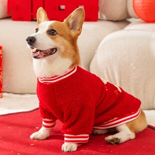 可爱柯基衣服红色喜庆拜年狗狗两脚衣柴犬法斗雪纳瑞过年宠物绒衣