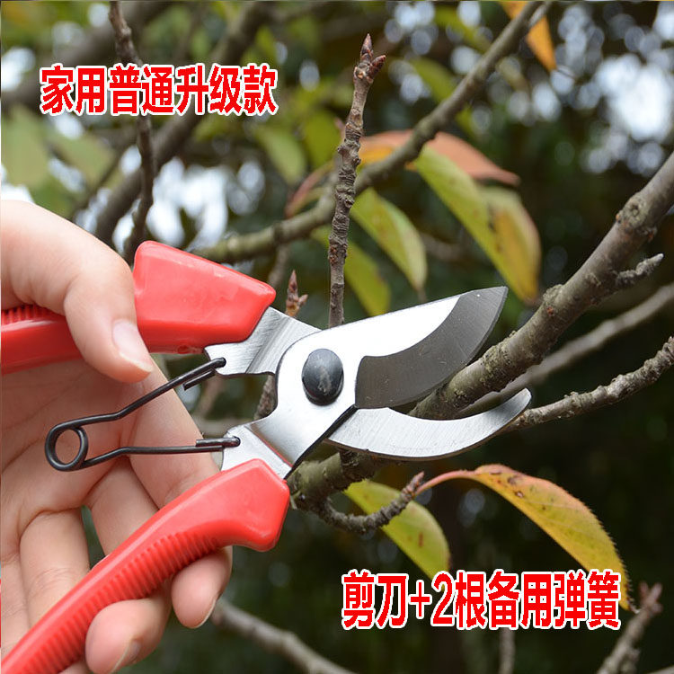包邮 园林花木修剪工具 修枝剪 果树剪刀 整枝剪 园艺剪枝树