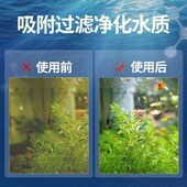 天然火山石鱼缸专用底砂生态造景底部砂石颗粒古法养鱼滤材铺底石