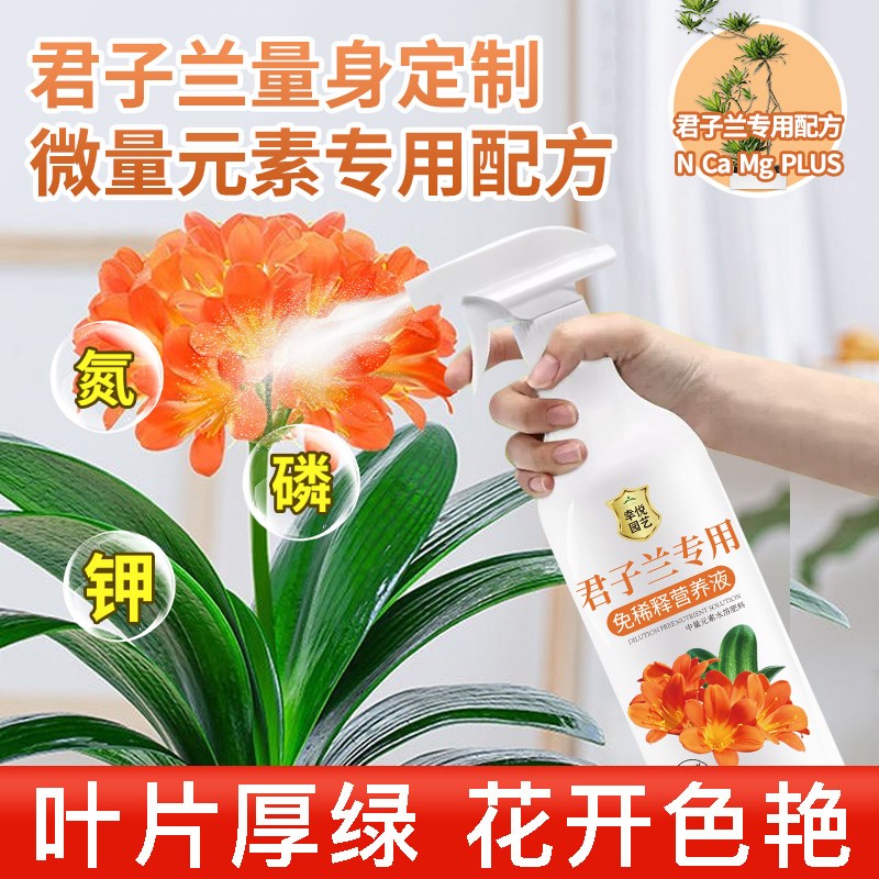君子兰营养液免稀释兰花促箭促开花专用肥料叶面肥盆栽液体肥