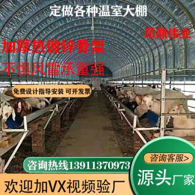 新温室大棚钢管骨架蔬菜养殖种植全套农业连体连栋大棚支架配件厂