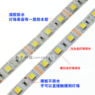 led色温可调灯带 双色灯条正白暖白光二合一灯珠客厅吊顶柜台12V