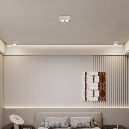 led明装筒灯客厅无主灯盒子灯方形双头斗胆灯过道玄关吸顶式射灯