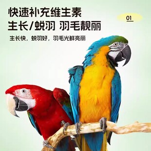 鹦鹉油料增肥粮玄凤牡丹虎皮开胃消食长膘专用营养粮增强免疫力