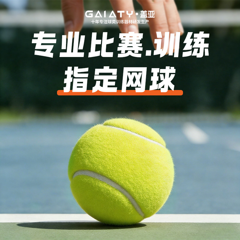 盖亚网球初学者高弹性耐打训练网球耐磨初中级比赛专用按摩宠物球