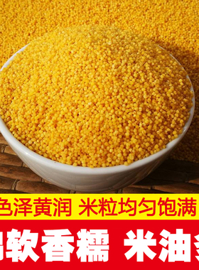 新鲜农家自产陕西米脂黄小米颗粒饱满五谷杂粮小米黄小米早餐粥