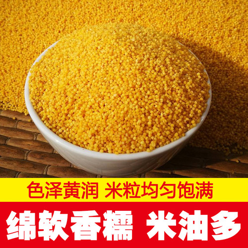 新鲜农家自产陕西米脂黄小米颗粒饱满五谷杂粮小米黄小米早餐粥