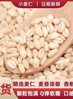 小麦仁新鲜当季颗粒饱满小麦仁熬粥杂粮小麦仁五谷杂粮麦仁早餐粥