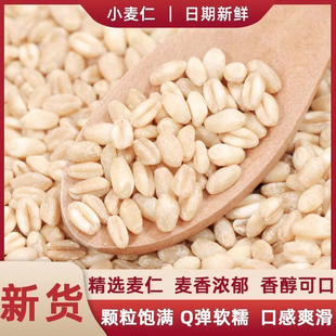 小麦仁新鲜当季颗粒饱满小麦仁熬粥杂粮小麦仁五谷杂粮麦仁早餐粥