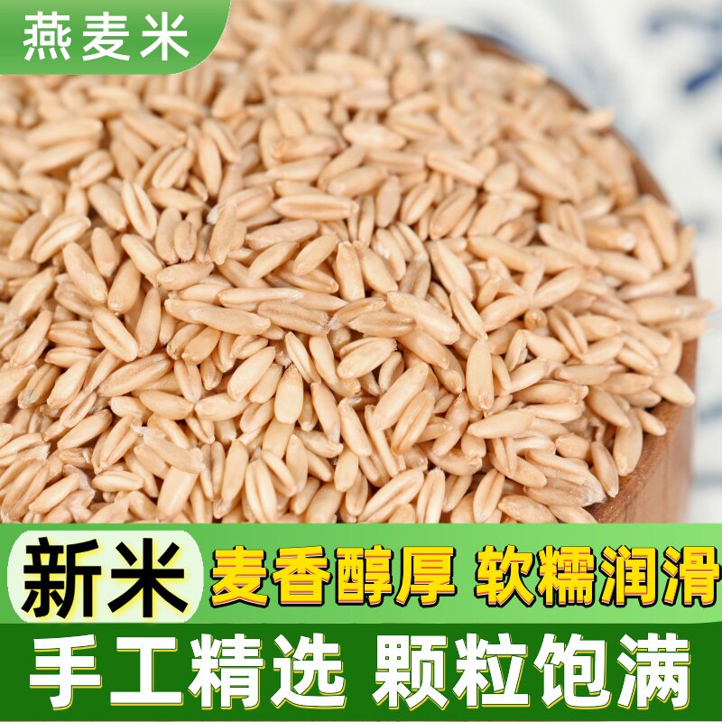 优质燕麦米新鲜当季颗粒饱满燕麦米煮粥早餐粥燕麦米杂粮新鲜麦香