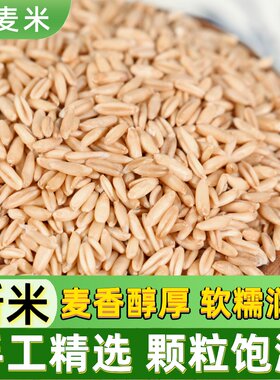 优质燕麦米新鲜当季颗粒饱满燕麦米煮粥早餐粥燕麦米杂粮新鲜麦香