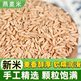 颗粒饱满燕麦米煮粥早餐粥燕麦米杂粮新鲜麦香 优质燕麦米新鲜当季