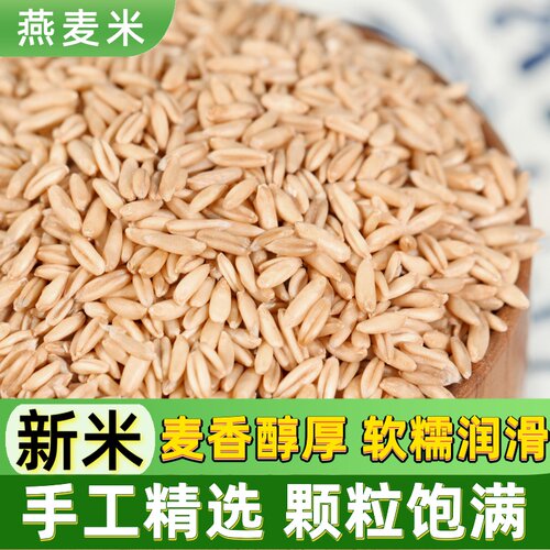 优质燕麦米新鲜当季颗粒饱满燕麦米煮粥早餐粥燕麦米杂粮新鲜麦香