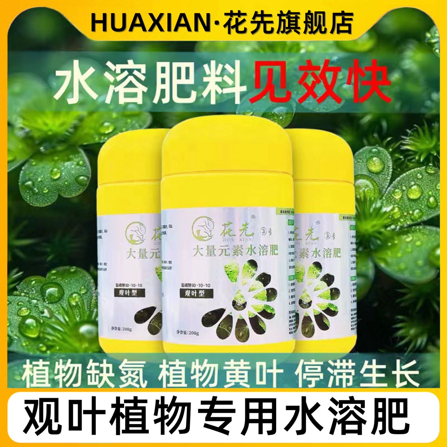 花先绿叶营养粉花多多3号大量元素水溶肥发财树绿萝专用观叶肥料