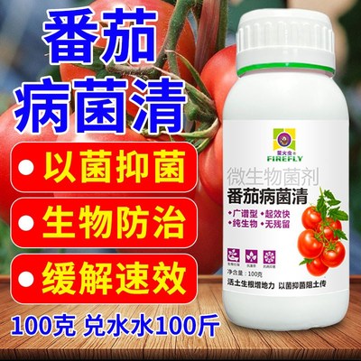 番茄病溃疡叶霉灰霉早晚疫病B微生物菌剂番茄病害炭疽叶斑