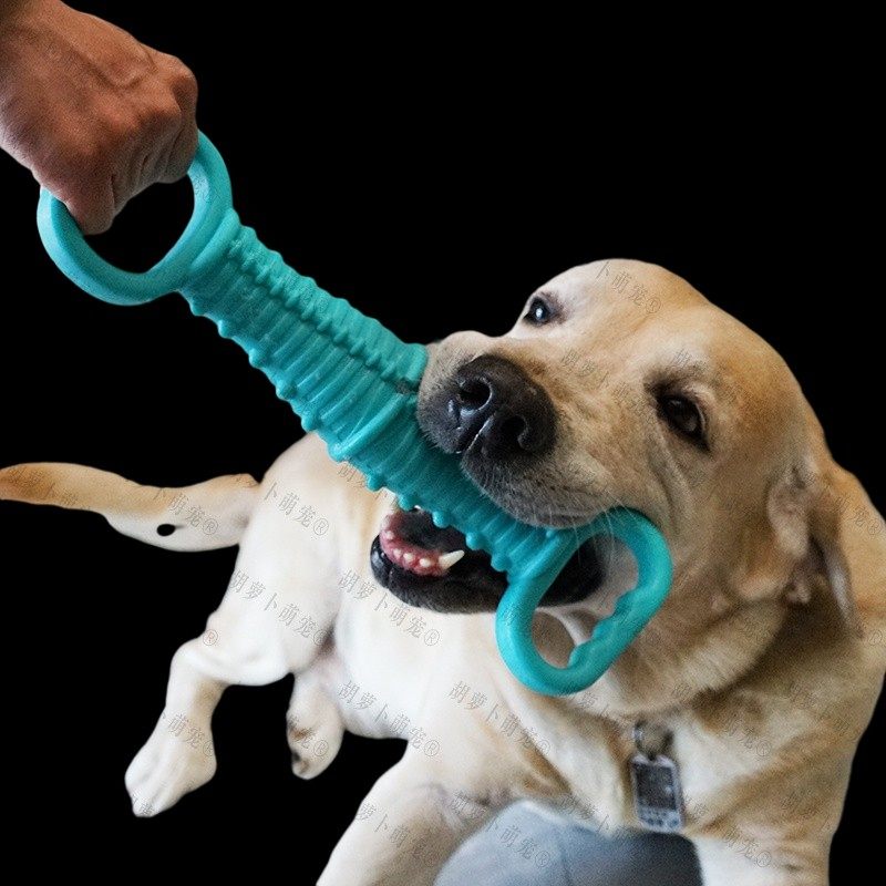 特大号发声耐咬互动狗狗玩具宠物磨牙棒洁齿中大型犬金毛拆家咬胶,宠物/宠物食品及用品,发声玩具,淘宝优惠券,粉丝福利购,淘宝优惠卷