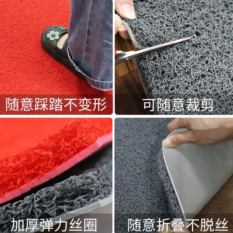 宝丽美8A8塑料pvc喷丝地垫加厚电梯进门垫酒店迎宾防滑耐磨可剪裁