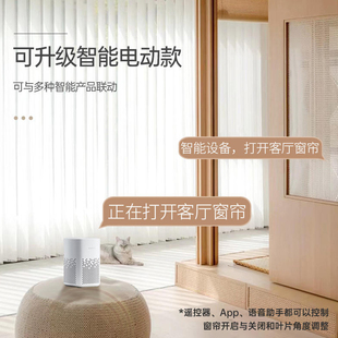 电动梦幻帘2023年新款 居家客厅阳台简约智能竖百叶窗帘遮光垂直帘