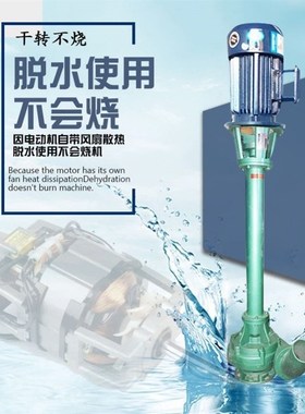 抽粪泵淤泥NL50-10/NL75-8鱼塘抽粪污水泵NL100-8/NL100-16380v